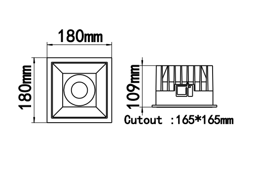  BR-DL1006S 48W